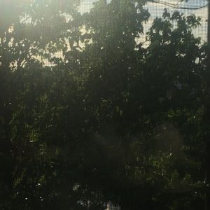 Meet your Posher, Emerson